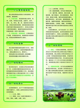 保险折页