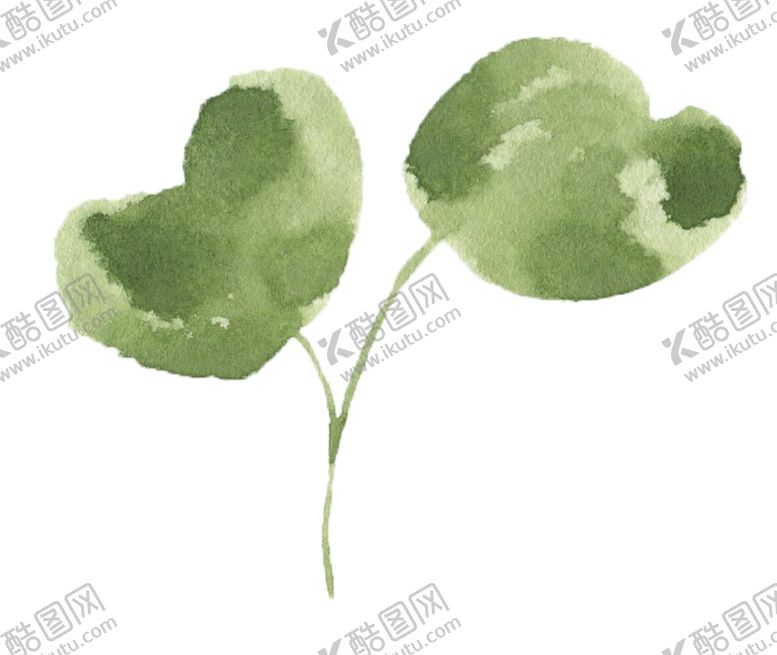 编号：79417205092039276052【酷图网】源文件下载-手绘植物花卉