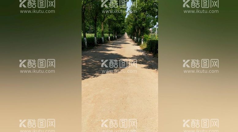 编号：15991712291252411138【酷图网】源文件下载-公园视频  自然风景 视频素材