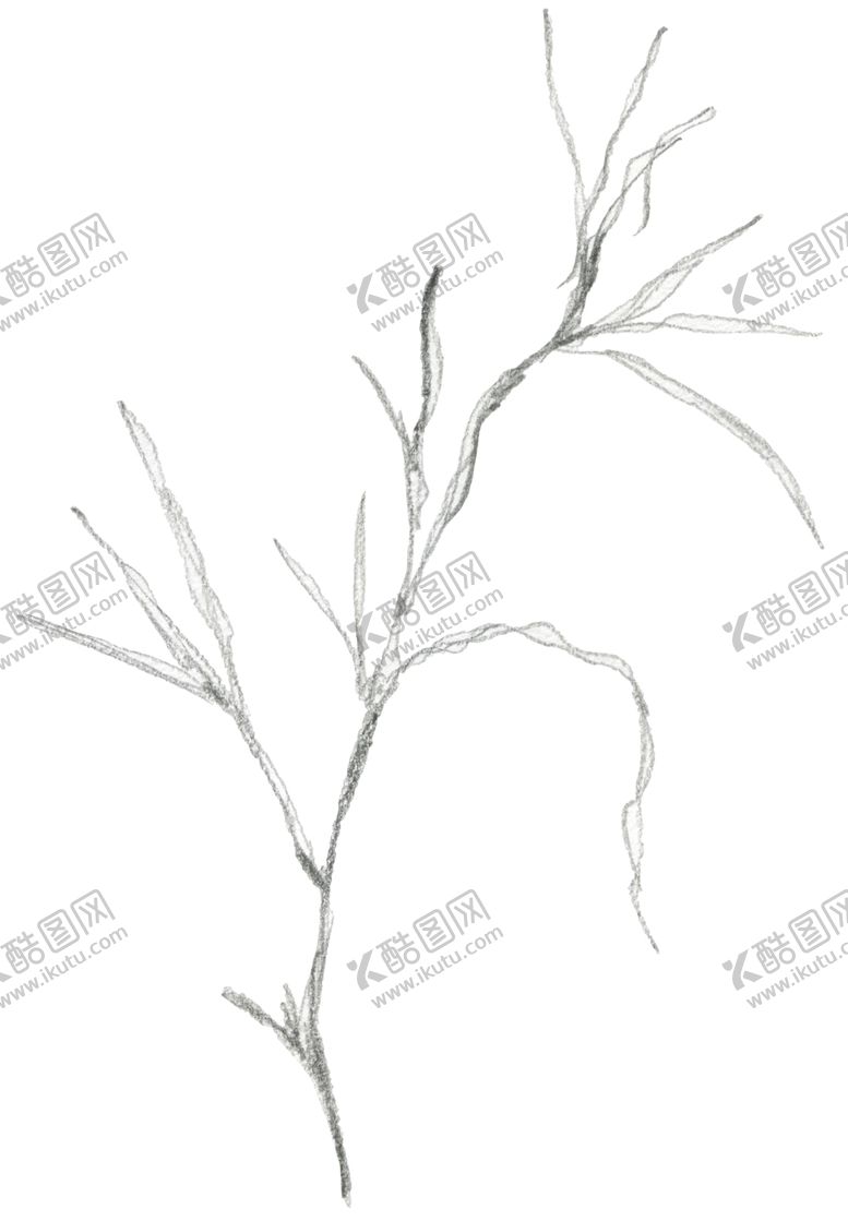 编号：91104407050803327152【酷图网】源文件下载-彩绘枝叶