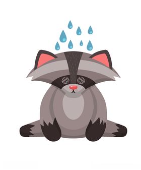 浣熊
