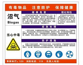 沼气干法脱硫宣传海报