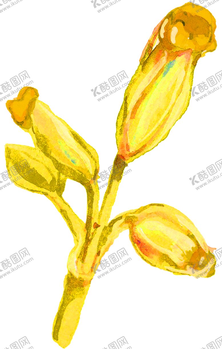 编号：21347405160717365322【酷图网】源文件下载-鲜花装饰