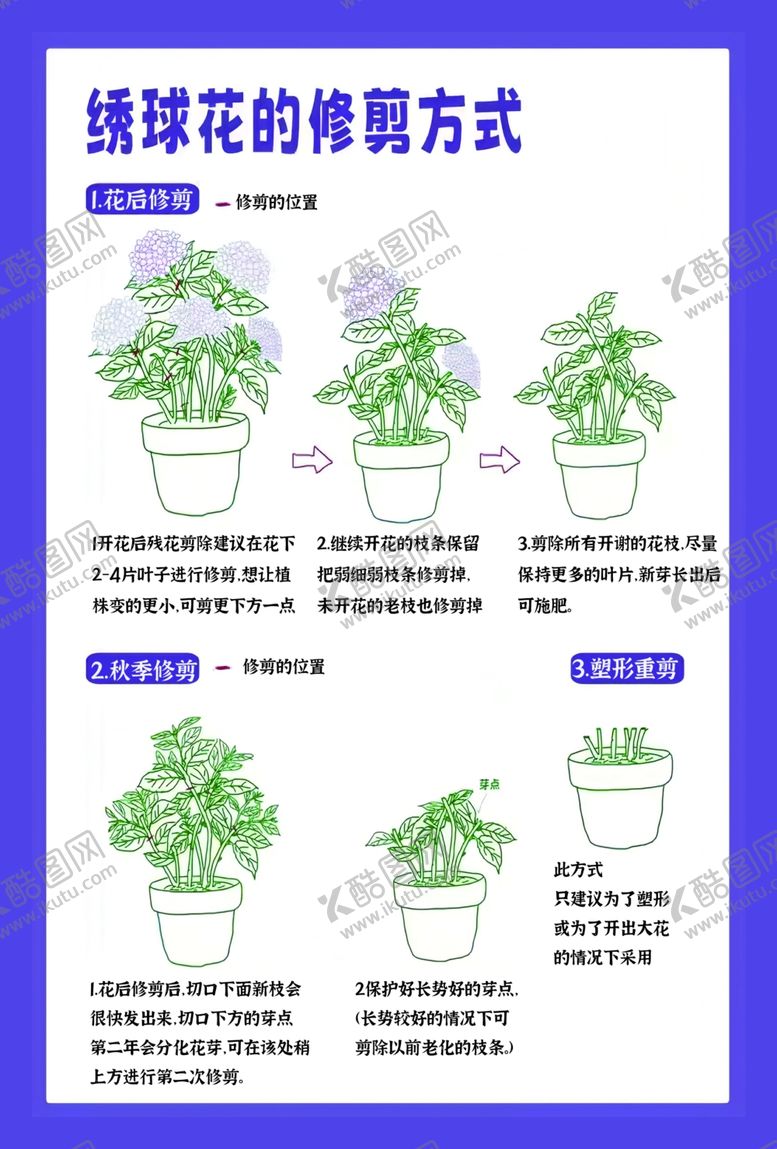 编号：84878504210546243129【酷图网】源文件下载-绣球花修剪花期