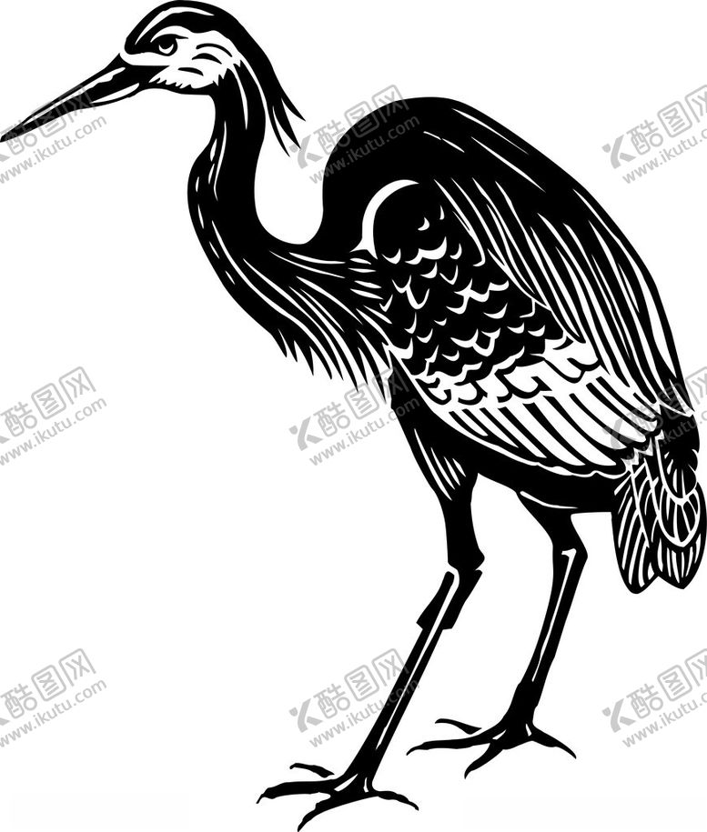 编号：75515002162313414165【酷图网】源文件下载-手绘鸟类插画