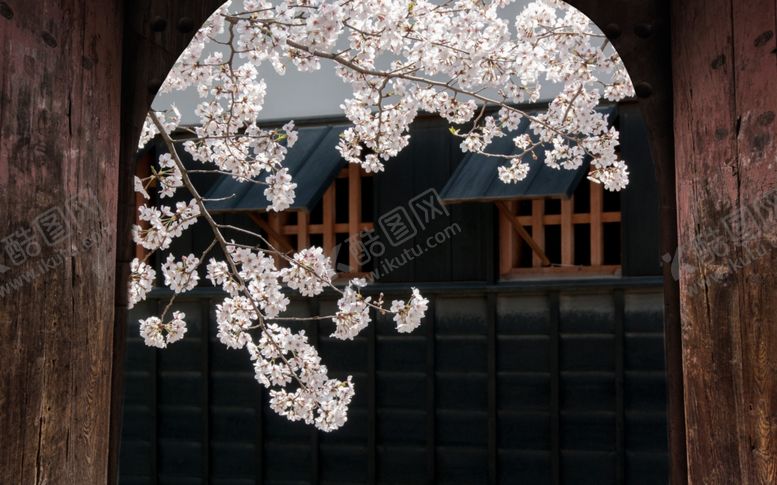 编号：34775806241115113891【酷图网】源文件下载-花鸟画电视背景墙