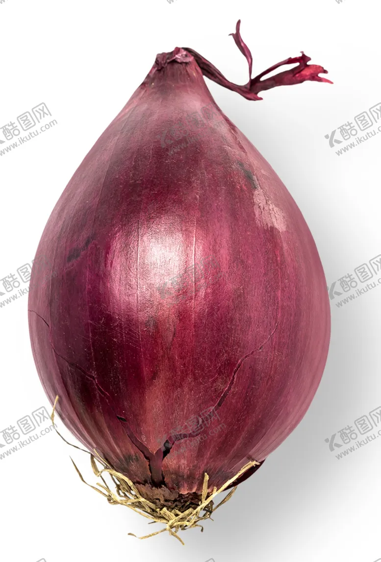 编号：56939806252029567697【酷图网】源文件下载-洋葱头