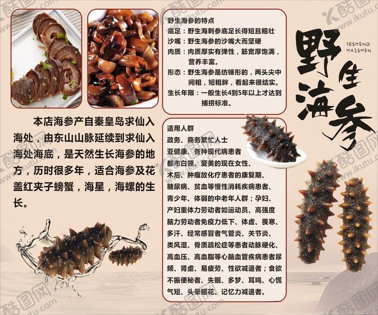 编号：82071004031643444392【酷图网】源文件下载-海参