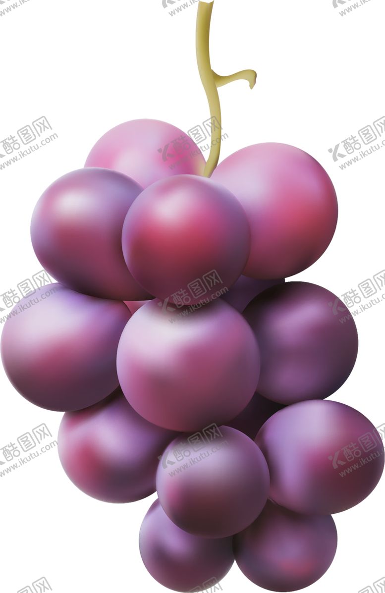 编号：48133910141850362063【酷图网】源文件下载-葡萄