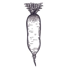 餐饮食物插画元素
