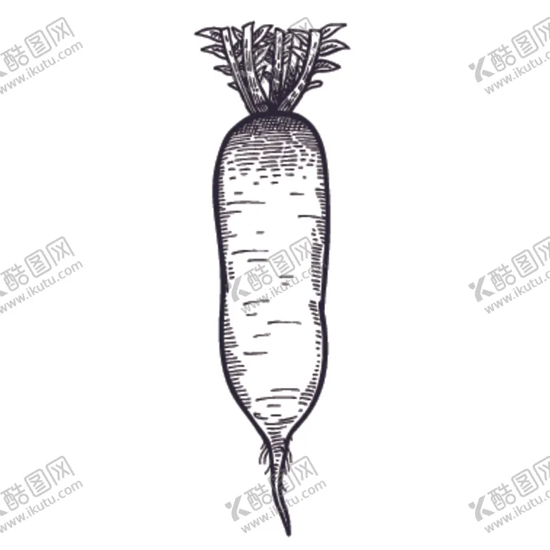 编号：79388306171205502830【酷图网】源文件下载-餐饮食物插画元素