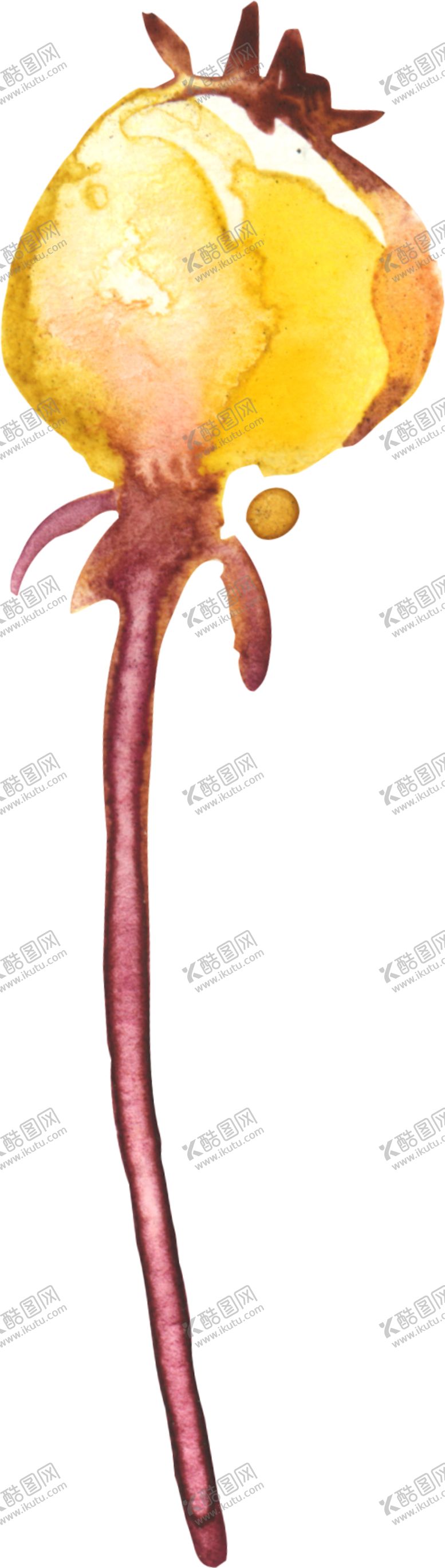 编号：11809109191025325981【酷图网】源文件下载-水彩手绘花卉花朵植物