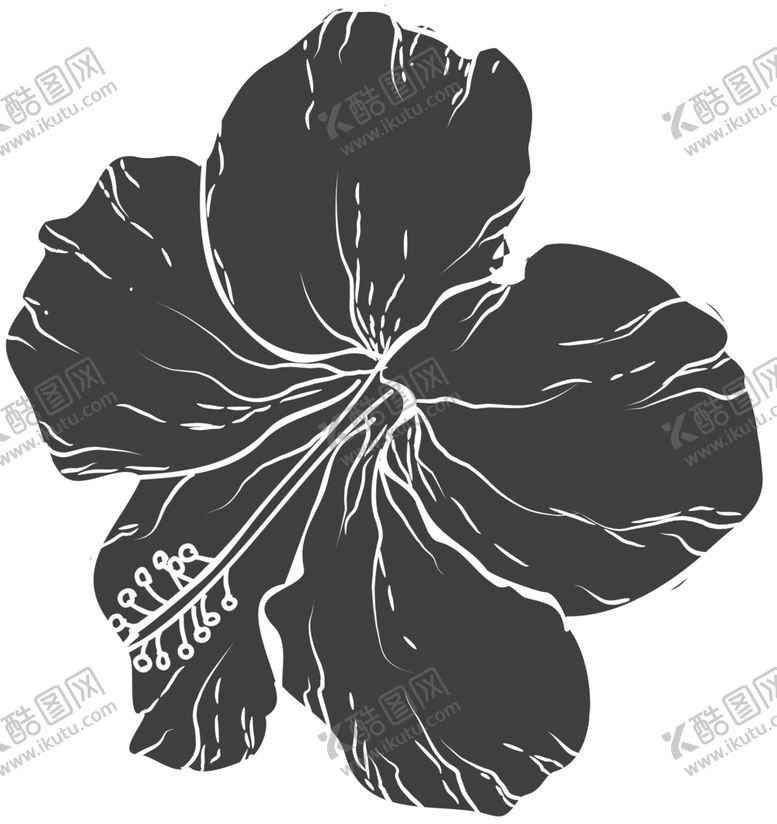 编号：28483307081835144457【酷图网】源文件下载-手绘植物花卉