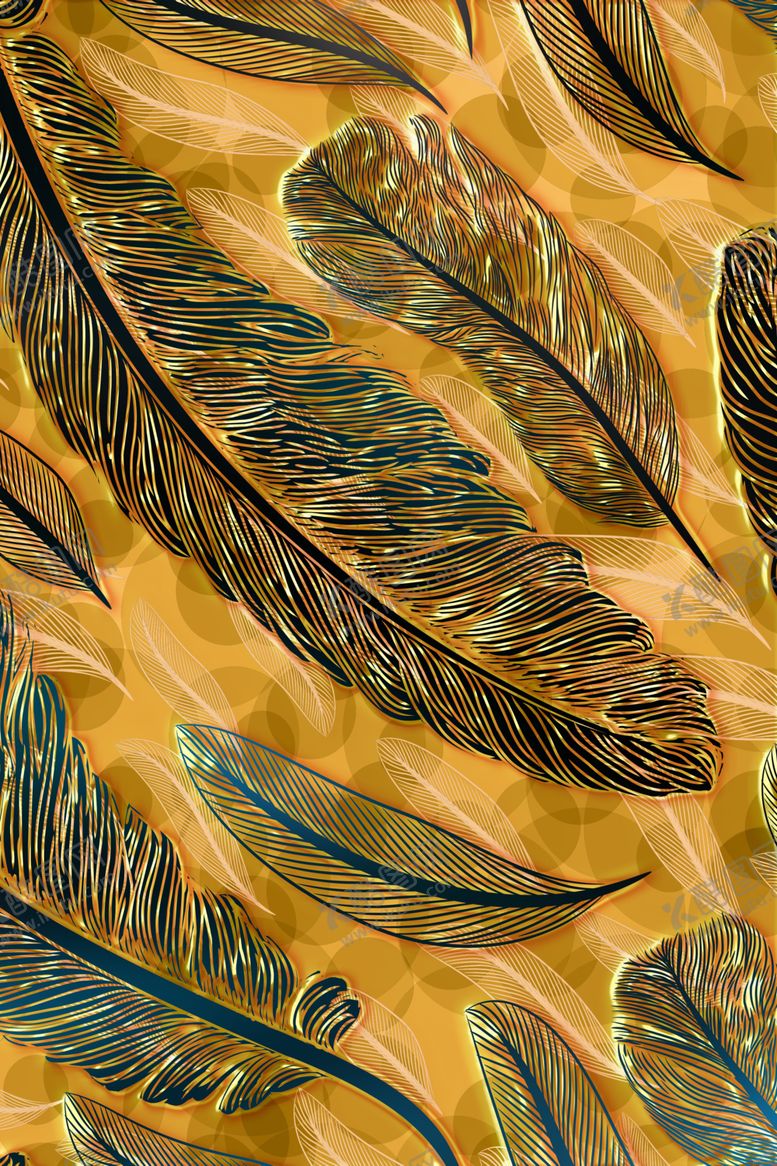 编号：55177009270515205107【酷图网】源文件下载-羽毛装饰画