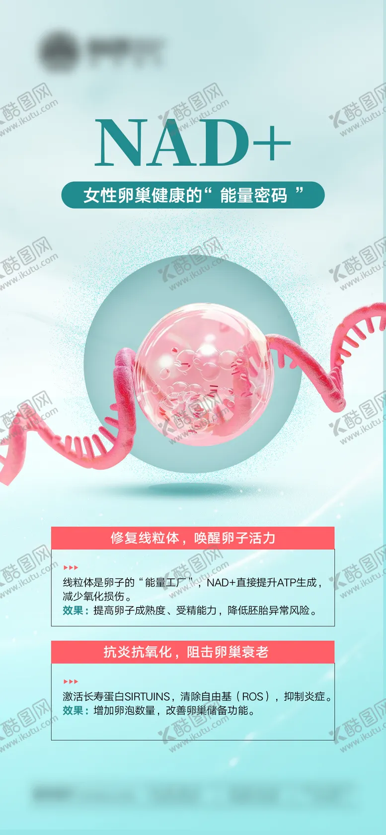 编号：48268901181342505932【酷图网】源文件下载-女性卵巢健康海报