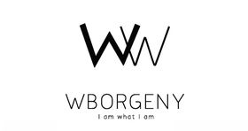 W字母标签logo元素