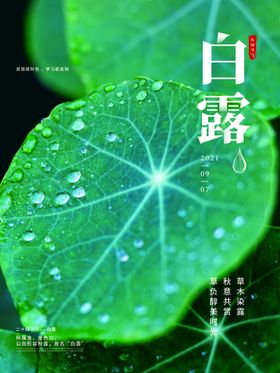 白露雨水贴片雨水宣传雨水地产稿