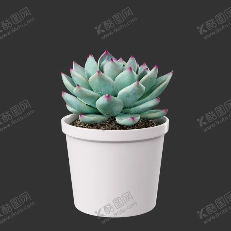 编号：28309310192033247547【酷图网】源文件下载-C4D模型多肉植物