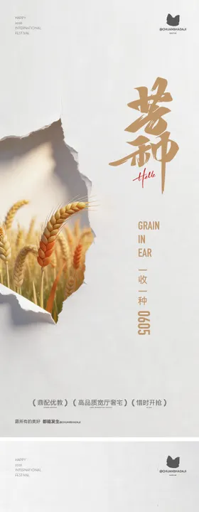 芒种简约