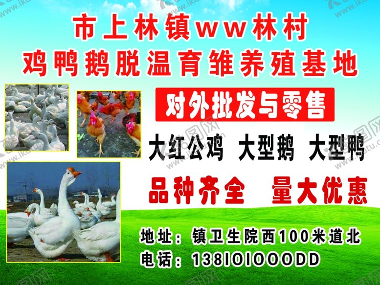 编号：43483409252316107003【酷图网】源文件下载-养殖厂广告鸡鸭鹅