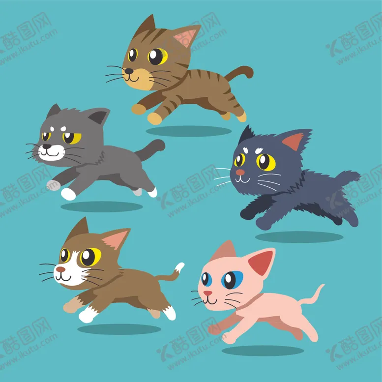 编号：78776306282053363442【酷图网】源文件下载-可爱小猫