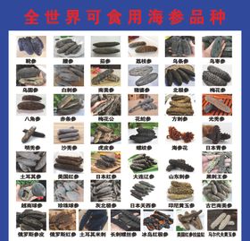 海参做法大全