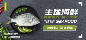 生猛海鲜