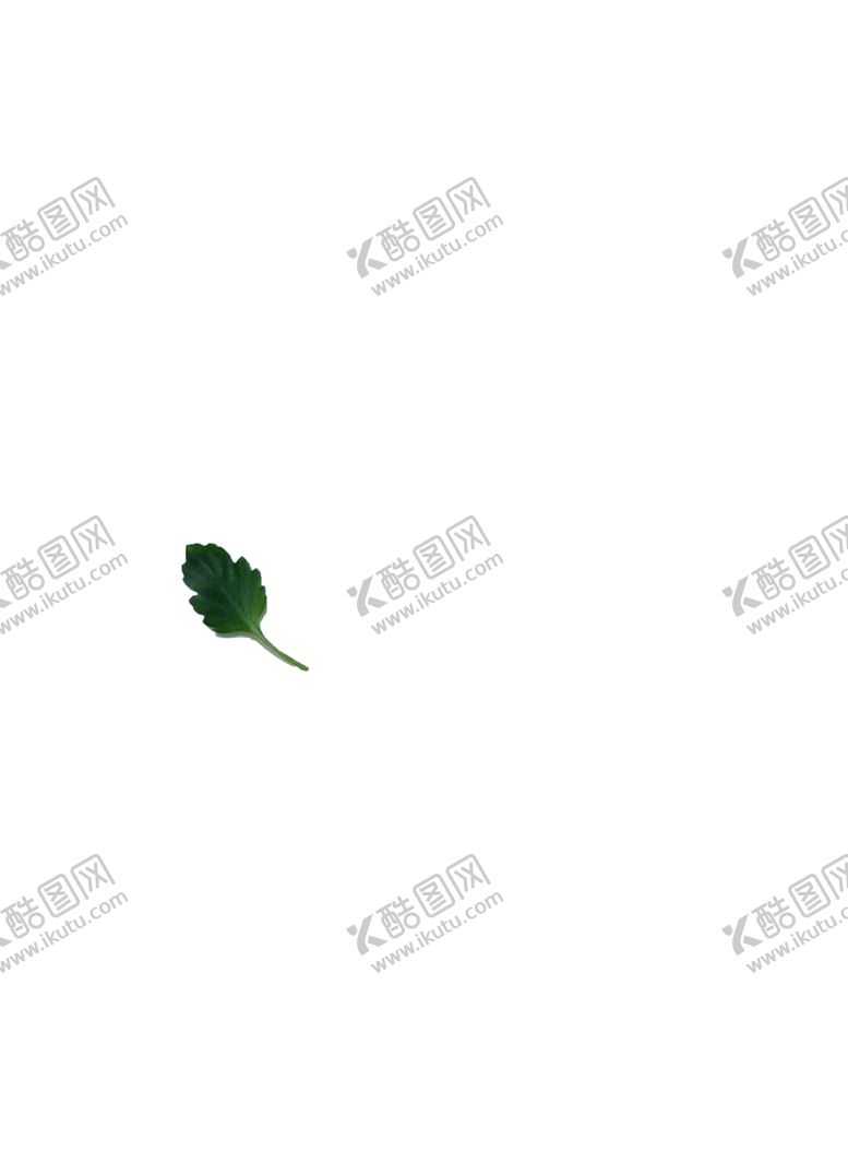 编号：97341804141539443974【酷图网】源文件下载-树叶