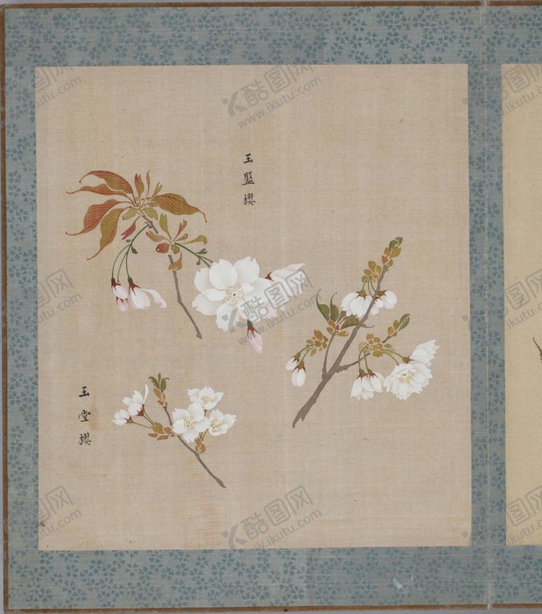 编号：69414503282339474683【酷图网】源文件下载-樱花