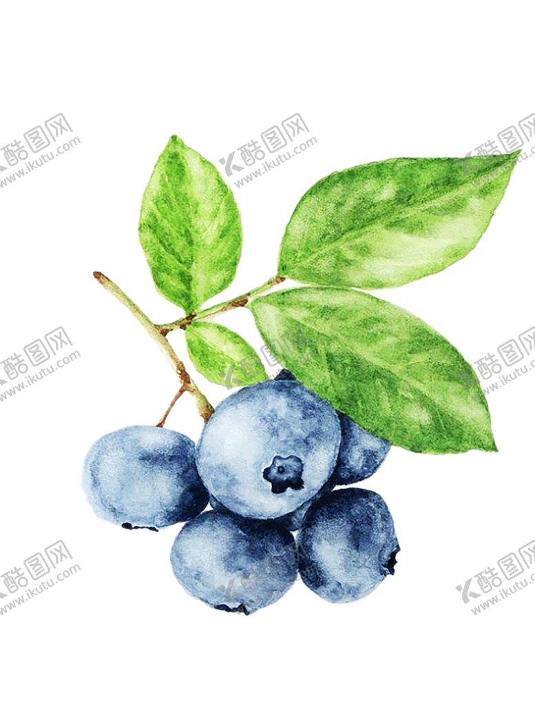 编号：33653007062138495590【酷图网】源文件下载-水果