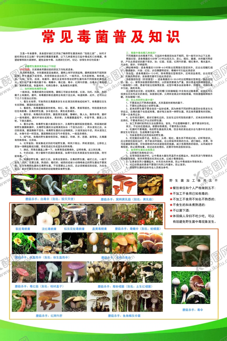 编号：46420605011844582519【酷图网】源文件下载-常见野生毒菌