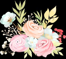 手绘鲜花