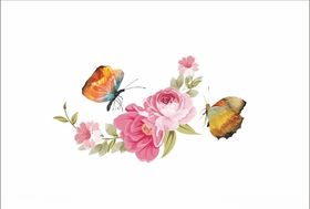 蝴蝶花