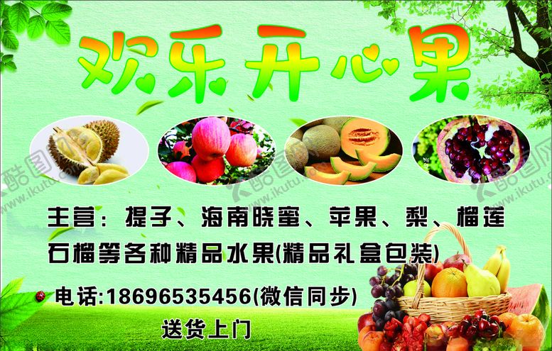 编号：44992706281430402341【酷图网】源文件下载-水果