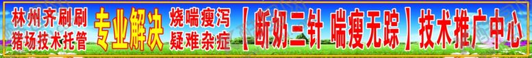 编号：76616710071252166586【酷图网】源文件下载-齐刷刷养猪服务平台