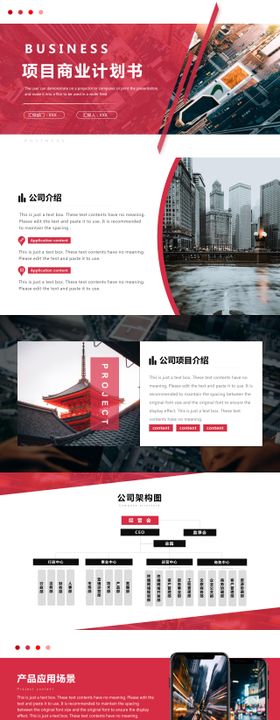 大气红色商务项目商业计划书PPT
