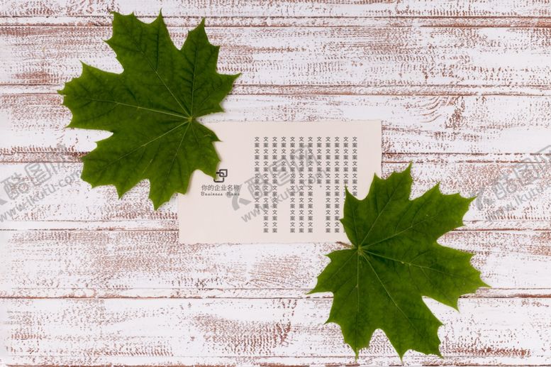 编号：25802209240502051231【酷图网】源文件下载-纸张样机