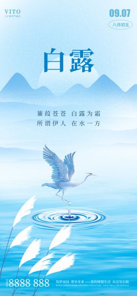 二十四节气白露节气海报