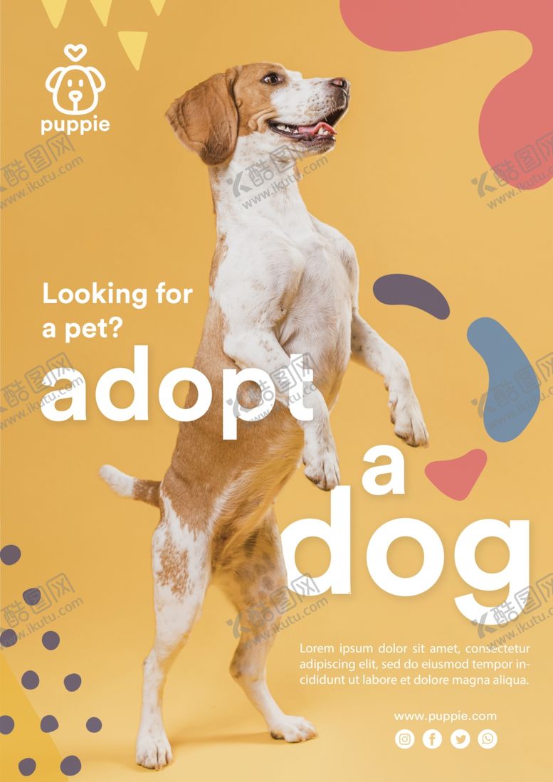 编号：55999209281304353389【酷图网】源文件下载-宠物海报