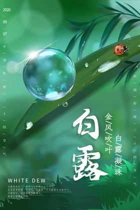 白露淡雅中国风舞台背景中国风背景中国风会议