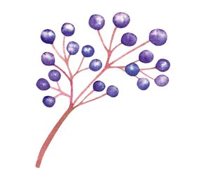水彩植物手绘插图可爱卡通