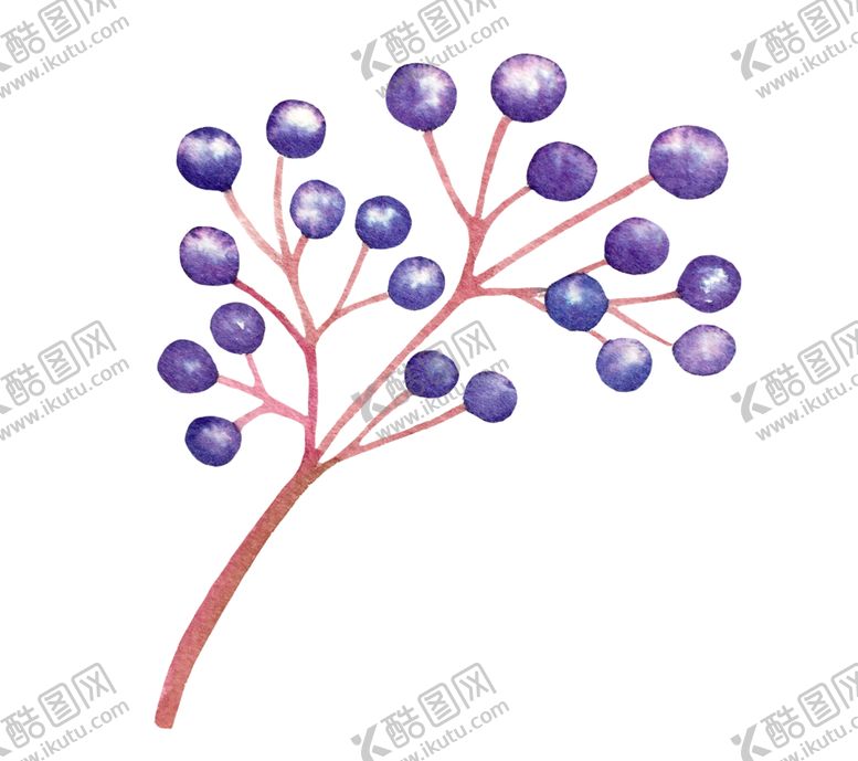 编号：78609907130225522361【酷图网】源文件下载-水彩植物