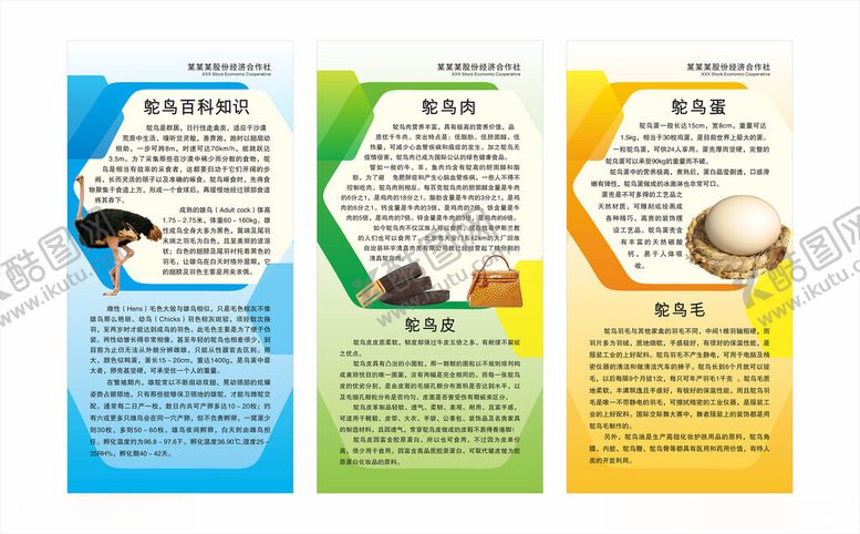 编号：14151902200235589327【酷图网】源文件下载-鸵鸟展板海报