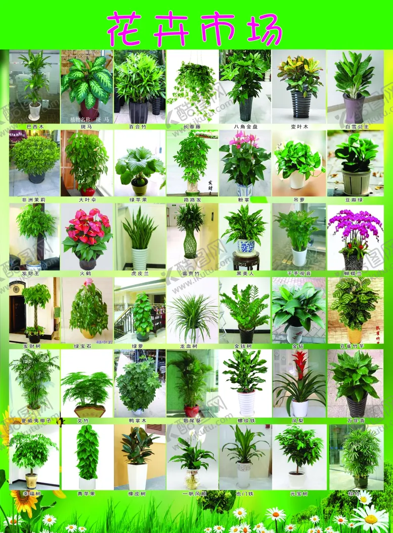 编号：83443806280951049070【酷图网】源文件下载-花卉绿植百花