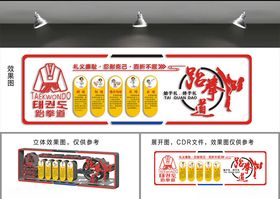 跆拳道文化墙