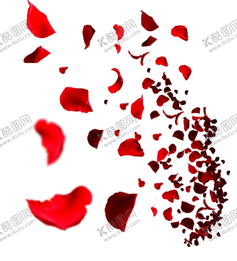 编号：79924710010833119445【酷图网】源文件下载-玫瑰花瓣
