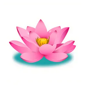 荷花素材背景中国风国潮