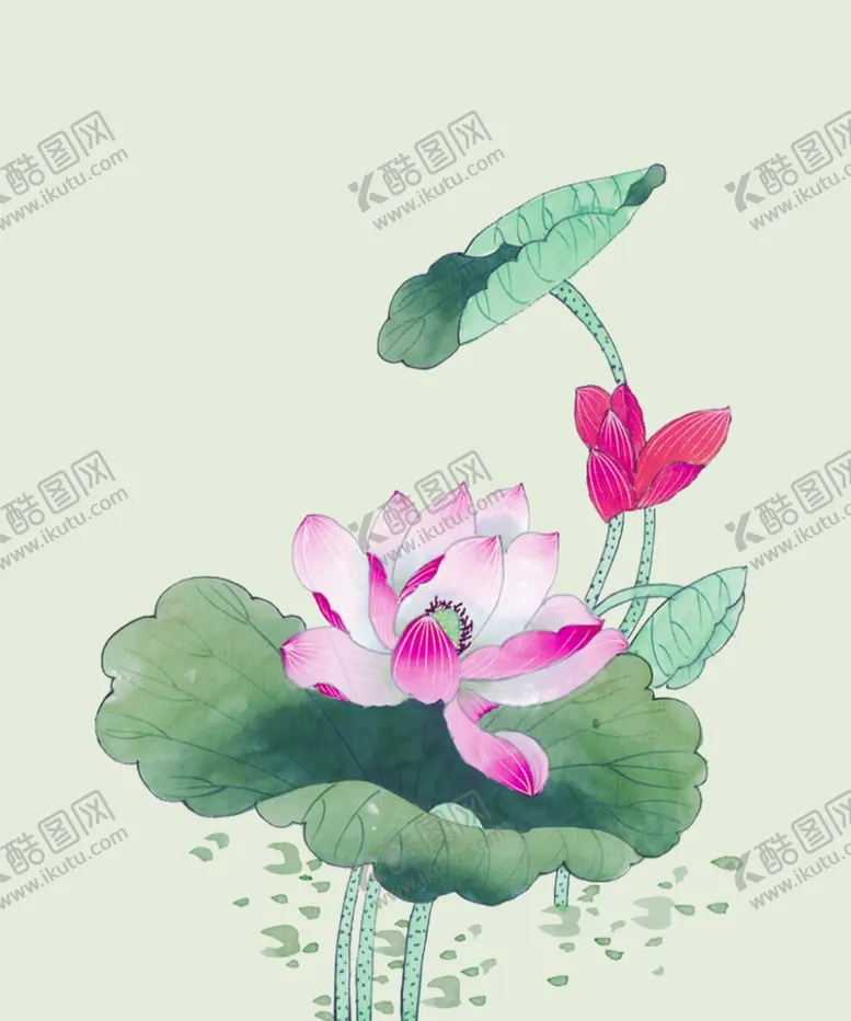 编号：43731302151709304611【酷图网】源文件下载-荷花