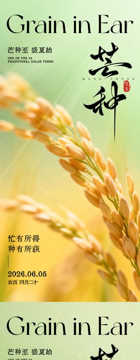 芒种节气宣传创意海报