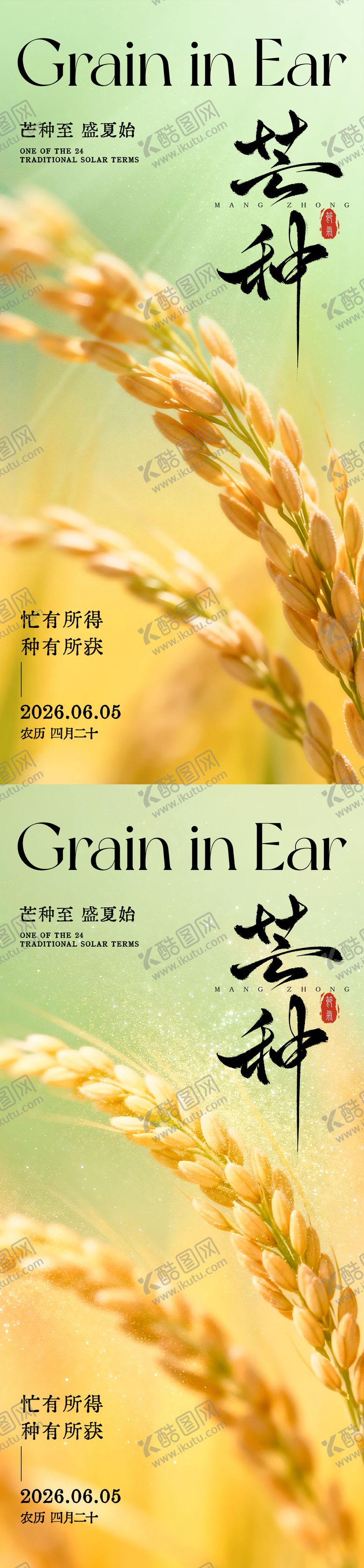 编号：93654706032332085405【酷图网】源文件下载-芒种节气海报宣传